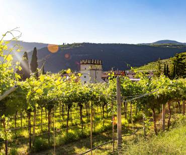 Top 5 Most Stunning Wine Destinations